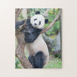 Riesenpanda in einem Baumpuzzle