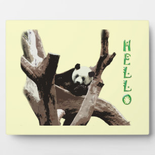 Riesenpanda in einem wilden Tierzoo Fotografie. Fotoplatte