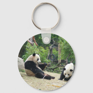 Riesenpanda in einem wilden Tierzoo Fotografie. Schlüsselanhänger