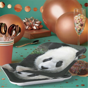 Riesenpanda in Nahaufnahme in grünem Gras Pappteller