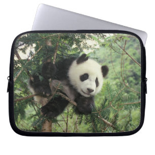 Riesenpanda-Jungtier klettert auf einen Baum, Wolo Laptopschutzhülle