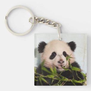Riesenpanda lehnt sich gegen die Mauer nieder Schlüsselanhänger