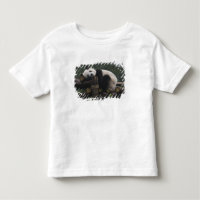 Riesenpandas beim Schutz des Riesenpanda