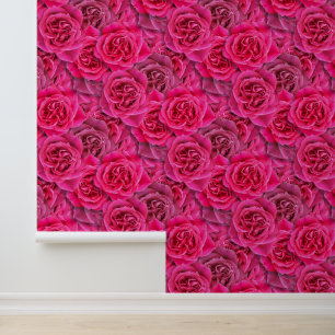 Riesenrosa Rosen Elegante Romantische Hübsch Nahtl Tapete