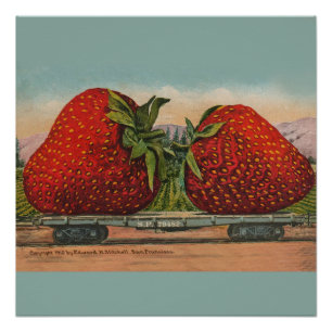 Riesens Erdbeeren Antiquität Früchte Spaß Poster