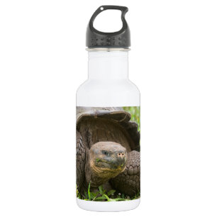 Riesenschildkröte Edelstahlflasche