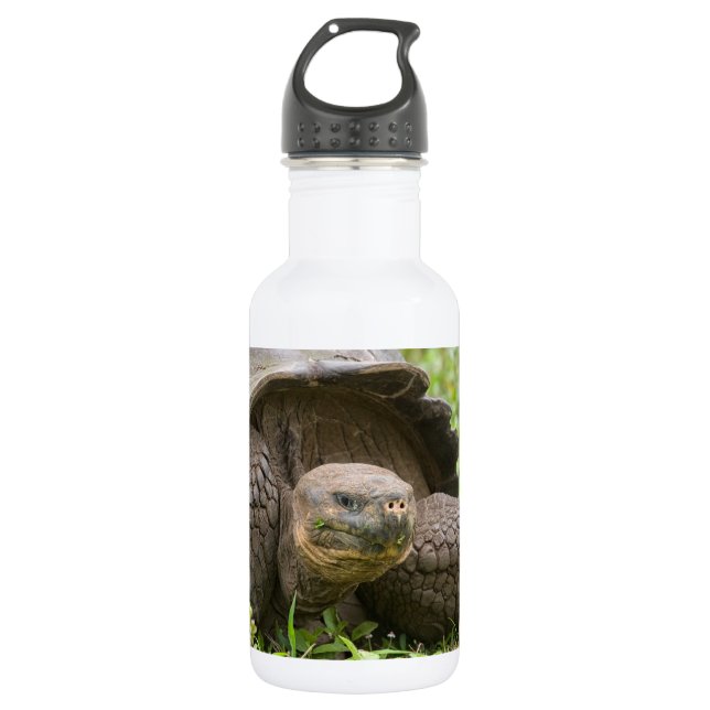 Riesenschildkröte Edelstahlflasche (Vorderseite)