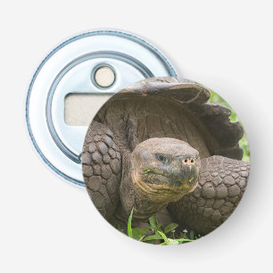 Riesenschildkröte Flaschenöffner