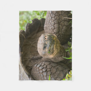 Riesenschildkröte Fleecedecke