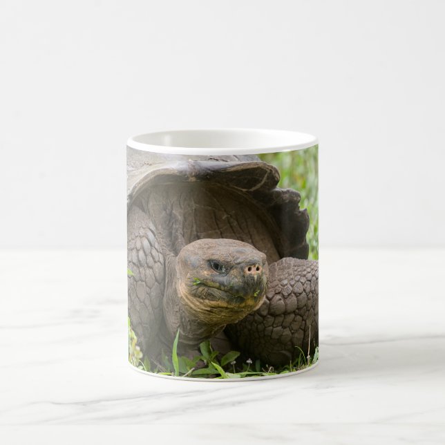 Riesenschildkröte Kaffeetasse (Mittel)