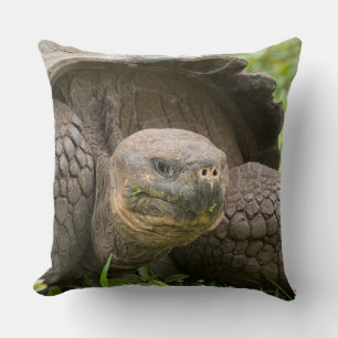 Riesenschildkröte Kissen
