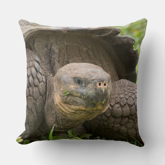 Riesenschildkröte Kissen (Vorderseite)