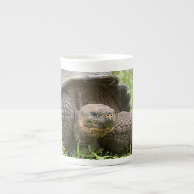 Riesenschildkröte Prozellantasse (Vorderseite)