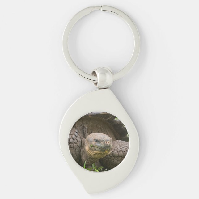 Riesenschildkröte Schlüsselanhänger (Vorderseite)
