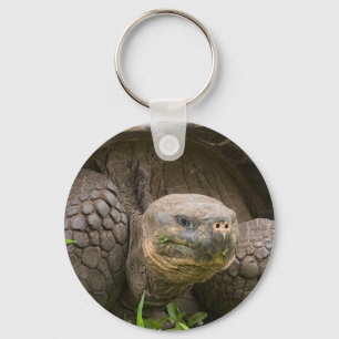 Riesenschildkröte Schlüsselanhänger