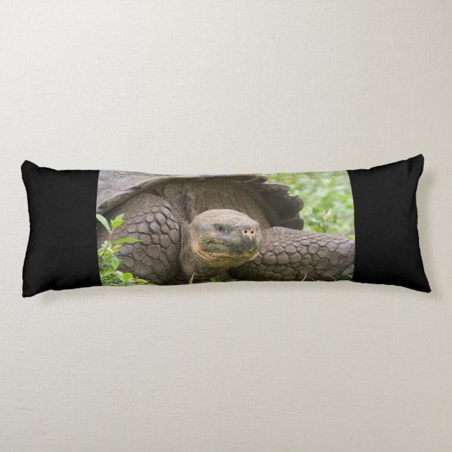 Riesenschildkröte Seitenschläferkissen (Rückseite)