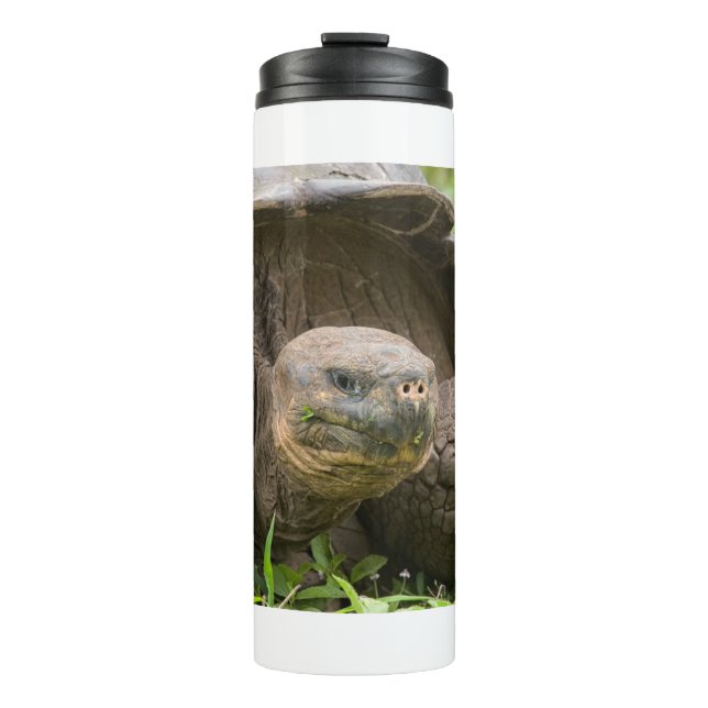 Riesenschildkröte Thermosbecher (Vorderseite)