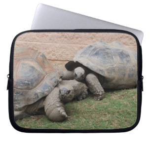 Riesenschildkröten Laptopschutzhülle