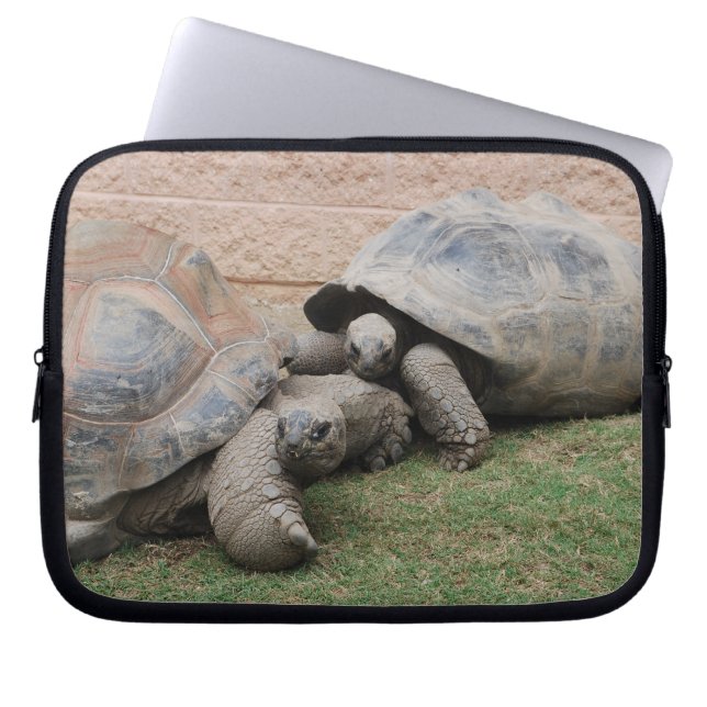 Riesenschildkröten Laptopschutzhülle (Vorderseite)