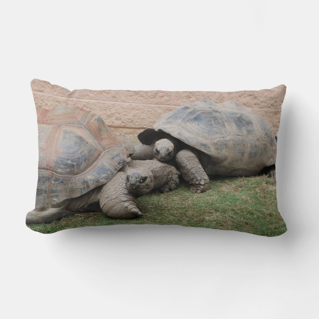 Riesenschildkröten Lendenkissen (Vorderseite)