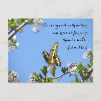 Riesenschmetterling mit John Muir Zitat