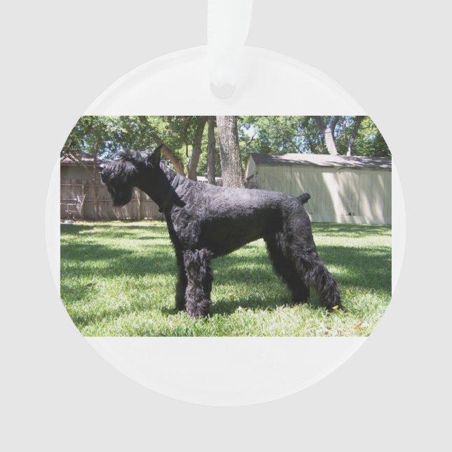 Riesenschnauzer full.png ornament (Vorderseite)