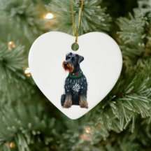 Riesenschnauzer im Weihnachtssüßer