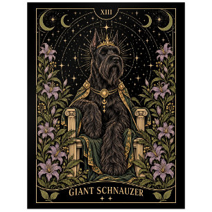 Riesenschnauzer, Sternen-Tarot-Kunst Postkarte