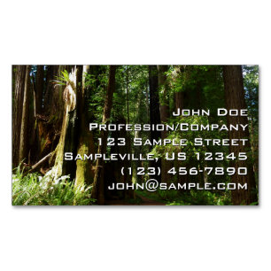 Riesensequoien und Farne im Redwood National Park Magnetische Visitenkarte