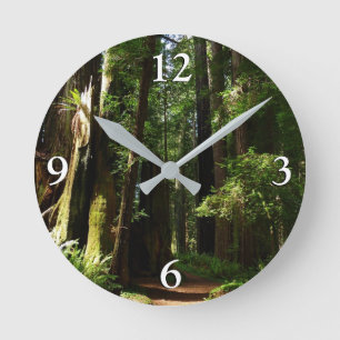 Riesensequoien und Farne im Redwood National Park Runde Wanduhr