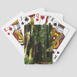 Riesensequoien und Farne im Redwood National Park Spielkarten