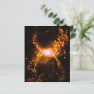 Riesenspinne | Spinnen Lovers Gift
