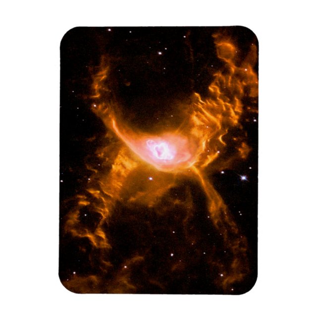 Riesenspinne | Spinnen Lovers Gift Magnet (Vertikal)
