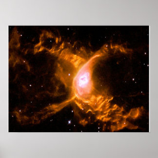 Riesenspinne | Spinnen Lovers Gift Poster