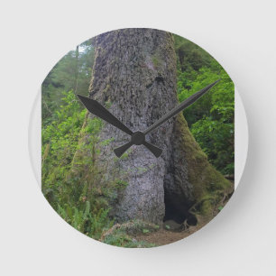 Riesenspruce, Cape Perpetua, Oregon Runde Wanduhr