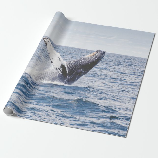 Riesenwal springt aus dem Ozean  Geschenkpapier (Ungerollt)