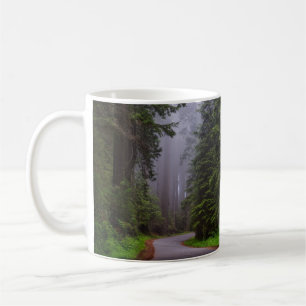 Riesenwaldbäume, Winding Road, Nationalpark Kaffeetasse