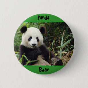 riesig-Panda-China-groß (1), Panda, Bär Button