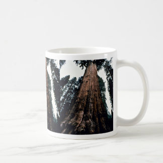 Riesige Bäume - Mammutbaum-Nationalpark Kaffeetasse