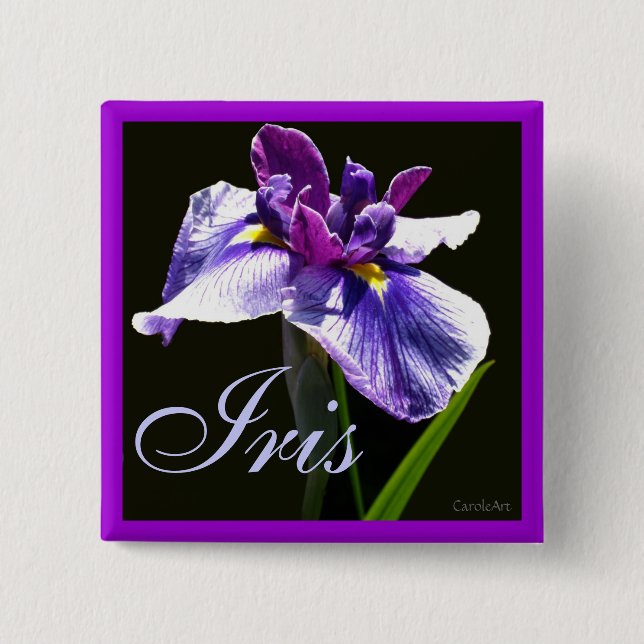 Riesige blaue lila Iris Button (Vorderseite)