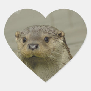Riesige Fluss-Otter-Aufkleber Herz-Aufkleber