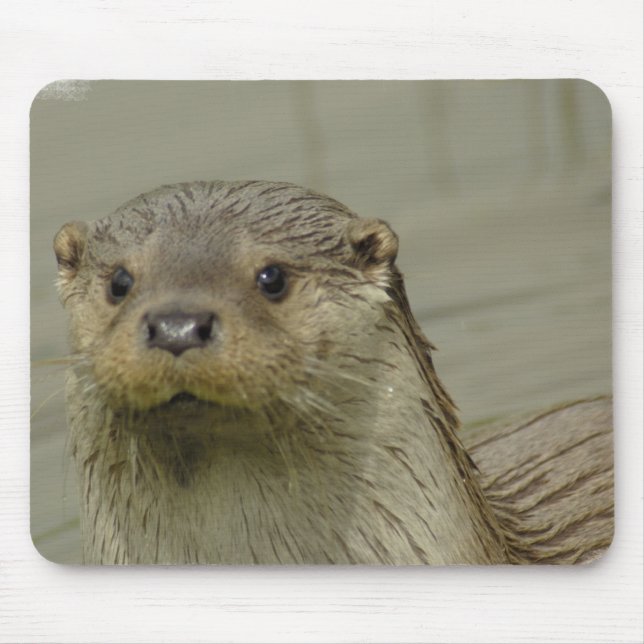 Riesige Fluss-Otter-Mausunterlage Mousepad (Vorne)