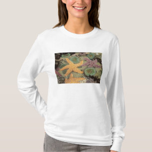 Riesige grüne Anemonen und ockergelbe Seesterne T-Shirt