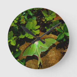 Riesige grüne Luna-Motte Runde Wanduhr