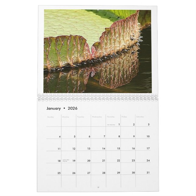 Riesige Lilien-Auflagen 2013 Kalender (Jan 2026)