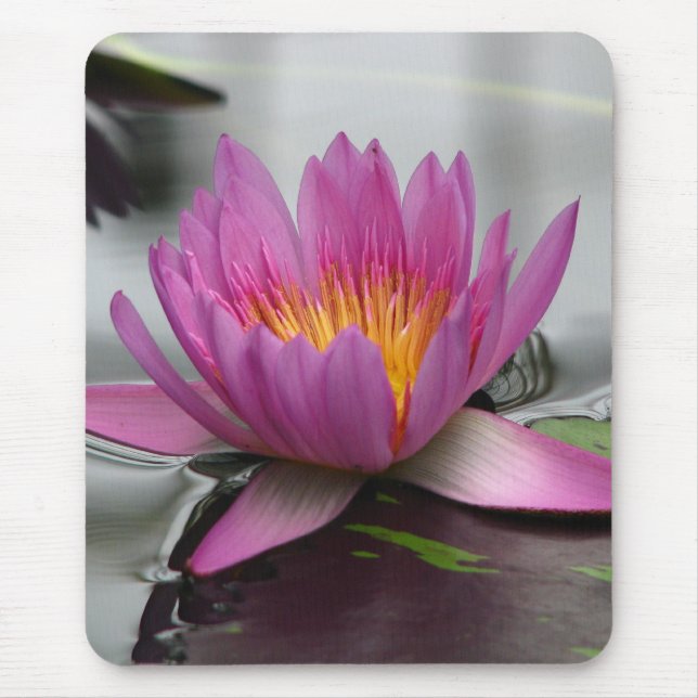 Riesige Lotus-Mausunterlage Mousepad (Vorne)