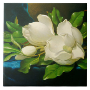 Riesige Magnolien auf einem blauen Samttuch (Heade Fliese