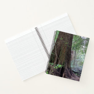 Riesige Nadelbäume in einem Wald Notizbuch