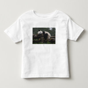 Riesige Pandas im Schutzgebiet für Große Pandas Kleinkind T-shirt