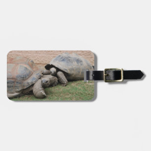 riesige Schildkröten Gepäckanhänger